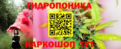 амф Кимры